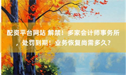 配资平台网站 解禁！多家会计师事务所，处罚到期！业务恢复尚需多久？